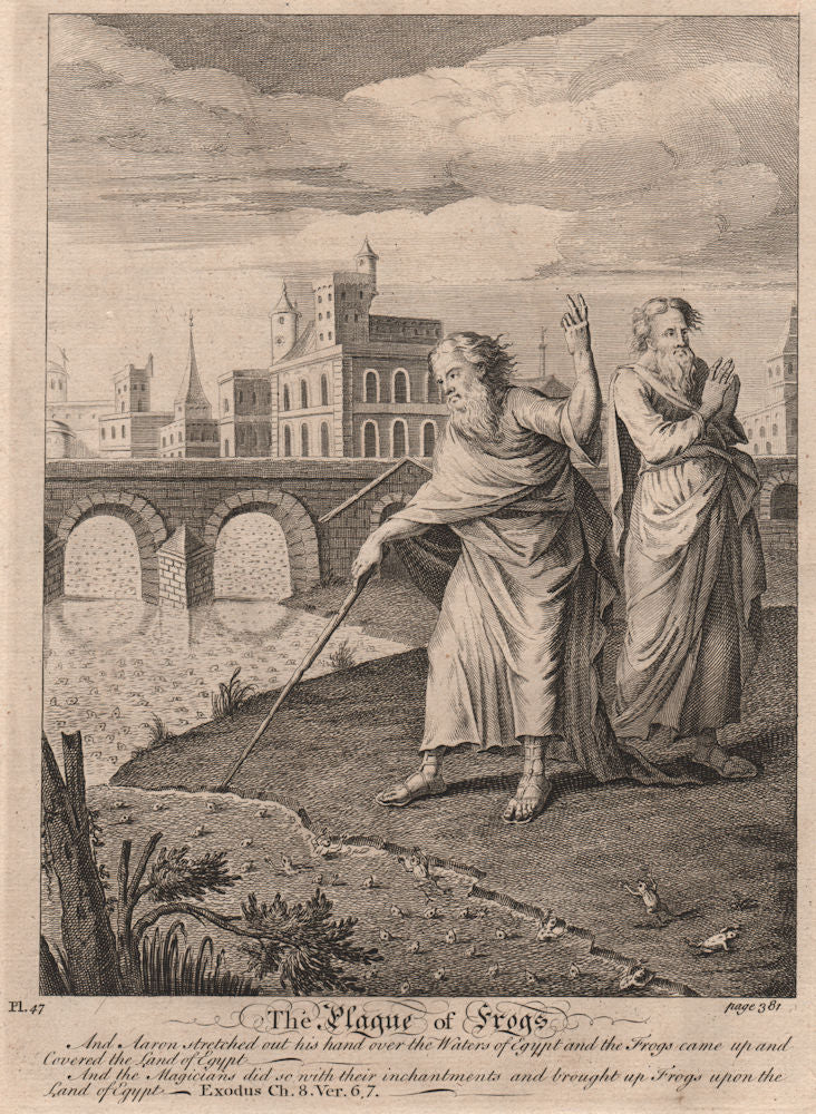 BIBLE. Exodus 8.6-7 The frogs came up and covered the land of Egypt 1752 print